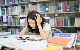 Trước các kỳ thi chuyển cấp