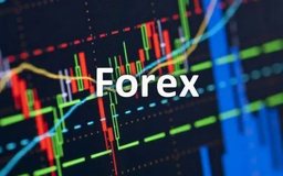 Chưa có sàn Forex nào tại Việt Nam được cấp phép