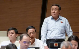 Đề xuất công chức tinh giản được hưởng hỗ trợ như 'đối tượng đặc thù'