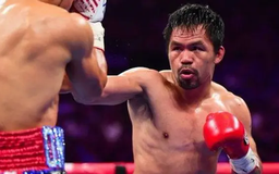 Võ sĩ Manny Pacquiao trở lại thượng đài