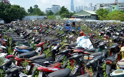 Đề xuất bán ngay xe vi phạm trong một số trường hợp
