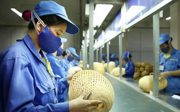 Giảm thuế để hỗ trợ doanh nghiệp nhỏ và vừa