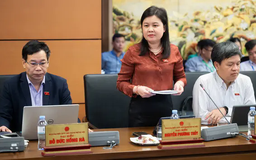 Linh hoạt quy định số lượng thành viên Ủy ban bầu cử