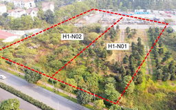 Hà Nội giao hơn 10.000 m2 đất xây nhà ở thấp tầng