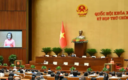 Cử tri ủng hộ điều chỉnh thời gian nhiệm kỳ Quốc hội