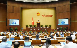 Xử phạt doanh nghiệp nhà nước chậm công bố thông tin