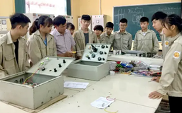 Xác lập giáo dục nghề nghiệp là một cấp học
