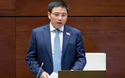 Nhà nước không can thiệp quyết định của doanh nghiệp