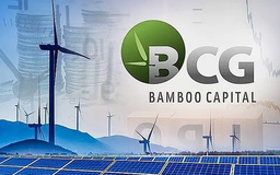 Bamboo Capital: Cổ phiếu bị kiểm soát