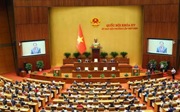 Lương công chức nên tương đương khu vực tư nhân