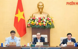 Nghị quyết xem xét cơ chế đặc biệt cho kinh tế tư nhân