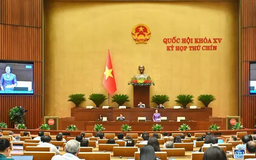 Đề xuất được bán ngay phương tiện vi phạm bị tạm giữ