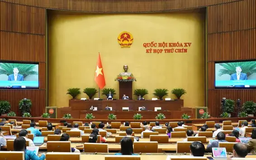 ĐBQH: Đảm bảo an toàn phóng xạ triển khai điện hạt nhân