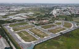 Giá bán và giao dịch đất nền Đông Anh đều giảm