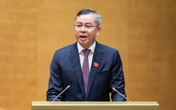 Kiểm toán chỉ ra nhiều sai sót trong thu ngân sách năm 2023