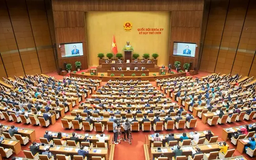 Tranh luận về quy định bố trí quỹ đất khu công nghiệp