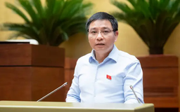 Không được thanh tra doanh nghiệp quá một lần trong năm