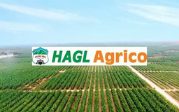 Hoàng Anh Gia Lai lỗ luỹ kế gần 10.000 tỷ đồng