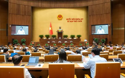 Hướng tới mục tiêu 2 triệu doanh nghiệp vào năm 2030