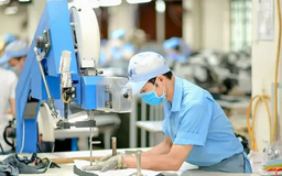 Gấp rút hoàn thành đơn hàng xuất khẩu trước 9/7