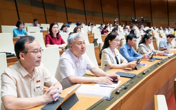 Siết chặt hàng giả để bảo vệ quyền lợi người tiêu dùng