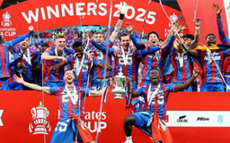 Crystal Palace giành suất dự cúp châu Âu