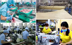 Kinh tế tư nhân được hưởng nhiều cơ chế đặc biệt