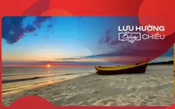 Gửi nhớ thương vào cơn gió biển