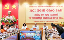 Chủ động các phương án sắp xếp nhân sự đại biểu HĐND cấp xã