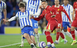Liverpool thua ngược trên sân của Brighton