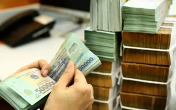Ngân hàng Nhà nước có thể cho vay đặc biệt 0%