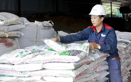 Công bố hợp quy đối với doanh nghiệp còn nhiều bất cập