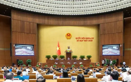 Quốc hội dự kiến ngày bầu cử khóa mới là 15/3/2026