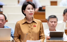 Thanh tra đi đến đâu, hàng giả biến mất đến đó