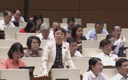 Thanh tra theo kế hoạch thường không hiệu quả