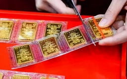 Giá vàng miếng tăng, giảm thất thường