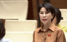 Cần luật hóa nguyên tắc 'mỗi năm chỉ thanh, kiểm tra một lần'