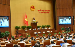 Nên chỉ định thầu với một số dự án đặc thù