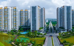 Giá chung cư chững, giá đất nền sốt nóng do đầu cơ
