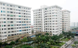 Nghiên cứu chính sách NƠXH cho gia đình đông con
