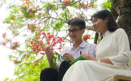 Sân trường đỏ rực mùa hoa phượng nở