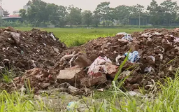 Đất đấu giá bị bỏ hoang gây lãng phí