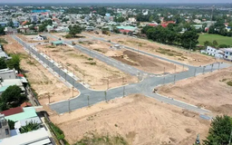 Đất đấu giá huyện Thạch Thất trúng cao nhất gần 181 triệu/m2