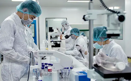 83% mẫu Covid-19 tại TP.HCM là biến chủng mới