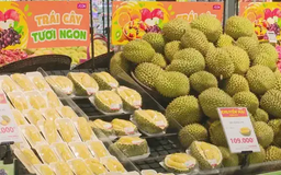 Thị trường nội địa hỗ trợ tích cực cho hàng hóa Việt