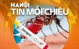 Hà Nội lên kịch bản chống dịch sốt xuất huyết | Hà Nội tin mỗi chiều
