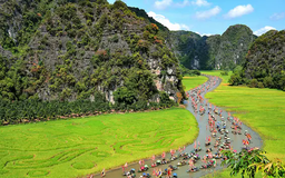 Ninh Bình khai hội 'Sắc vàng Tam Cốc-Tràng An'