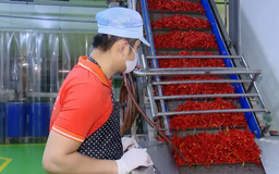Hoài Đức phát triển 'làng nghề xanh' | Chuyển đổi xanh | 24/05/2025