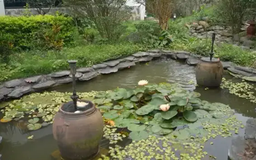 Đắp đất, làm đồi cho vườn để 'được sống theo sở thích' | Vườn đô thị | 25/05/2025