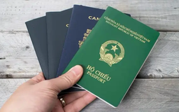 Nới lỏng quy định quốc tịch, thu hút nguồn lực kiều bào